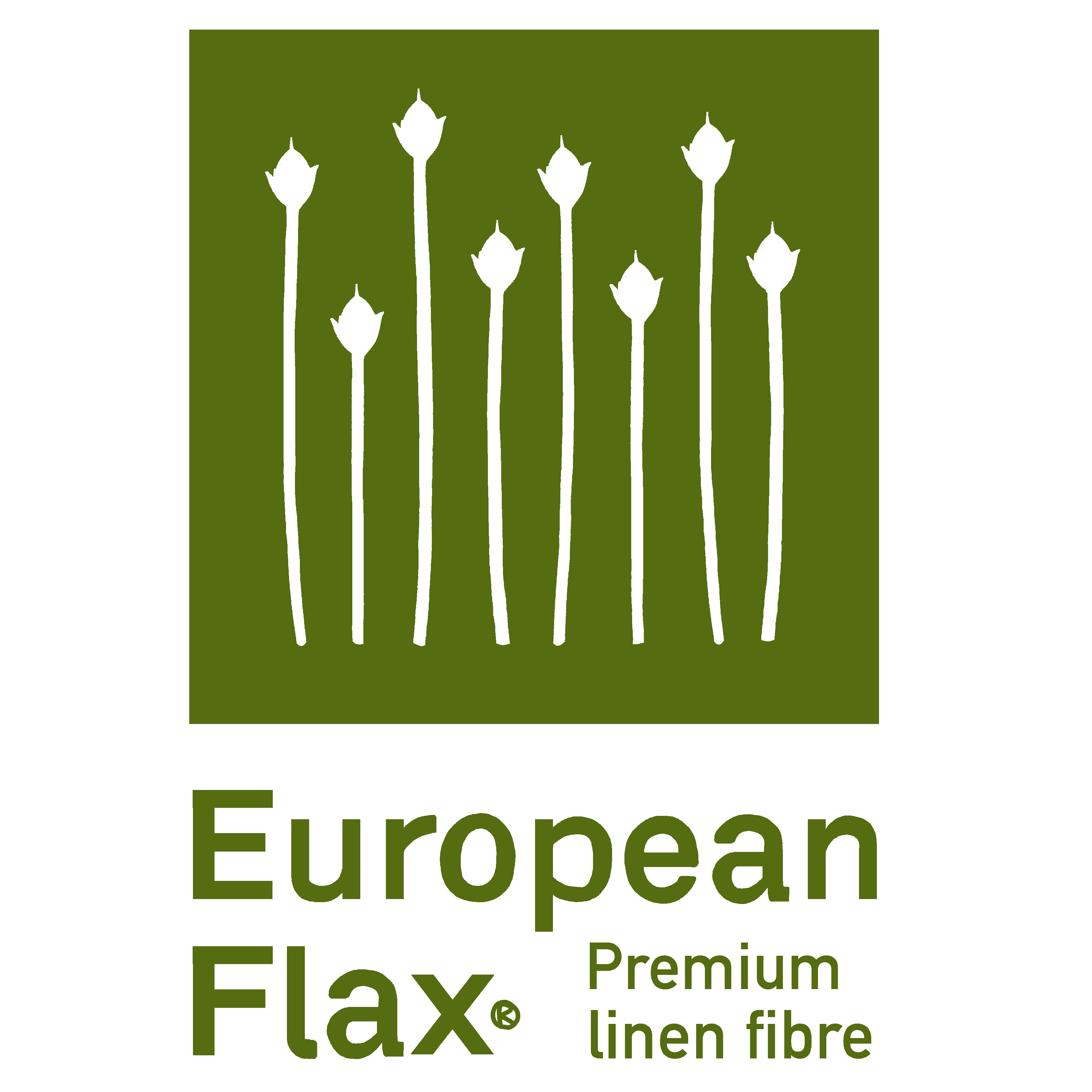 EUROPEAN FLAX